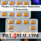Anaconda Male Enhancement Pills cialis4
